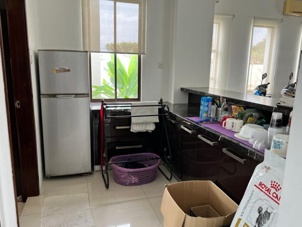 Large corner unit 2-storey bungalow at Banyan Close (11,119 ft2). Price: RM 2.7M (nego)